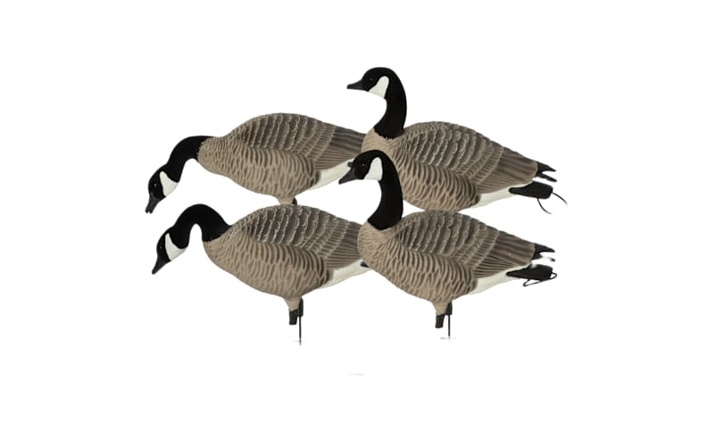 GHG Pro Grade XD Canada Goose Decoys 4 Pack | Mack's PW