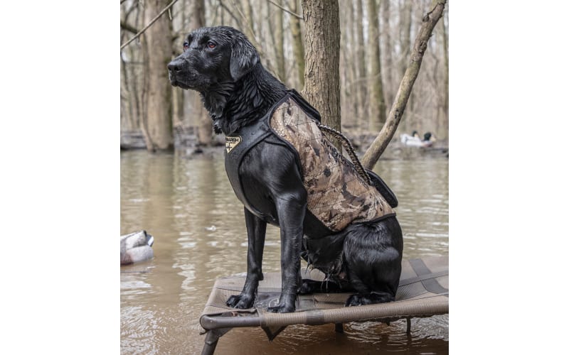 Cabelas neoprene dog vest cheap
