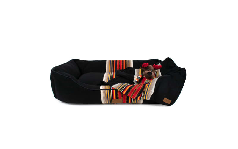 Pendleton acadia blanket sale