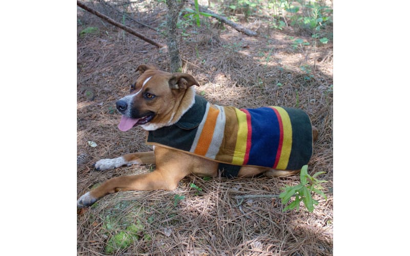 Pendleton dog jacket online