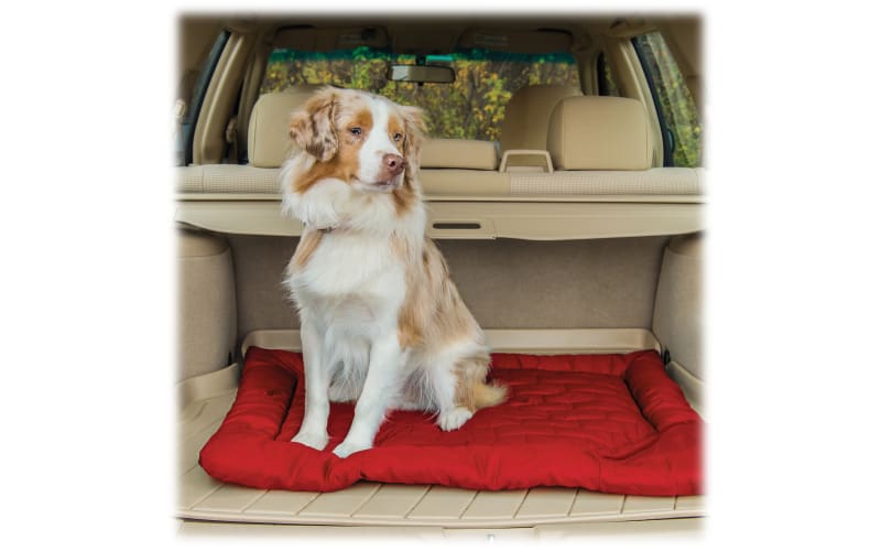 Kurgo wander cheap bed