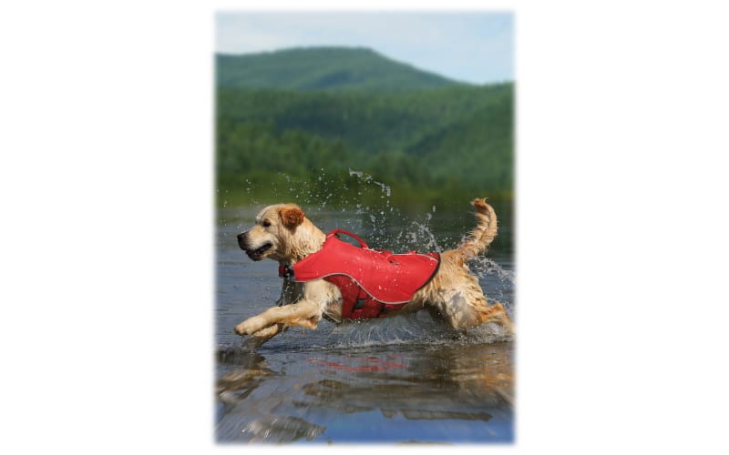 Cabelas dog life vest sale