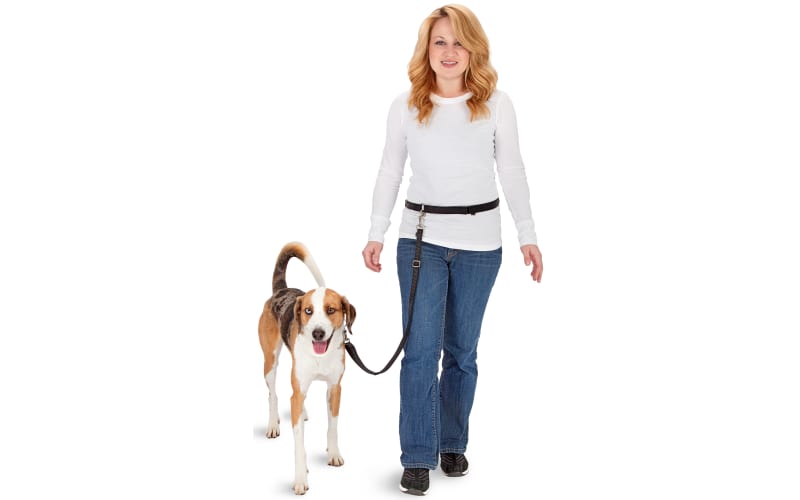 Petsafe hands free leash cheap