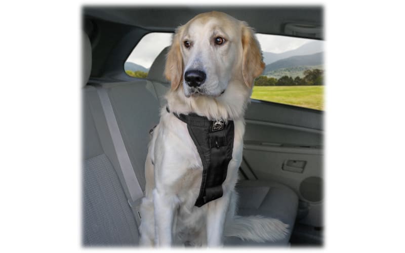 Enhanced Strength Tru-Fit Dog Car Harness - Great Gear And Gifts