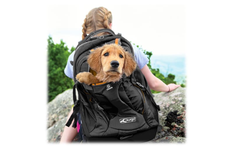 Kurgo G-Train Dog Carrier Backpack - Black