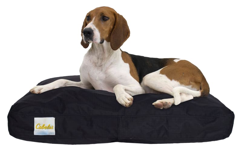 Cabelas elevated dog bed online