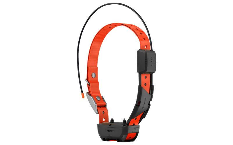 Garmin Alpha TT25 Dog Tracking and Training Collar Bass Pro Shops
