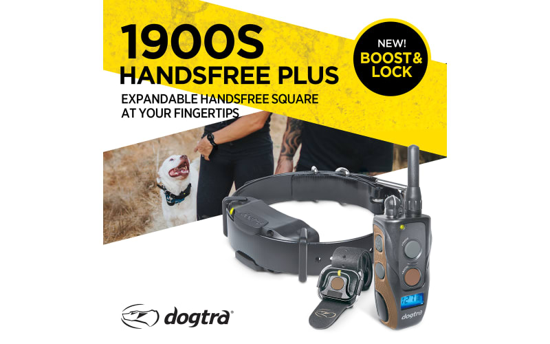 Dogtra 1900S Handsfree Plus E-Collar Dog-Training Collar Bass