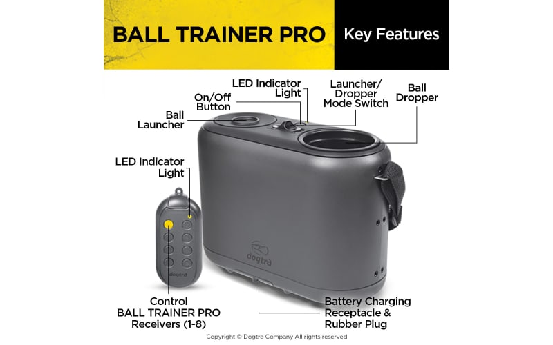 Dogtra Ball Trainer Pro for Dogs Bass Pro Shops