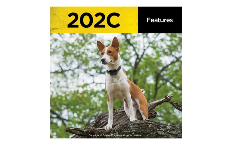 Dogtra 202C 2 Dog E Collar Training System Bass Pro Shops