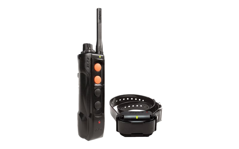 Dogtra Edge RT E Collar Dog Training System Bass Pro Shops