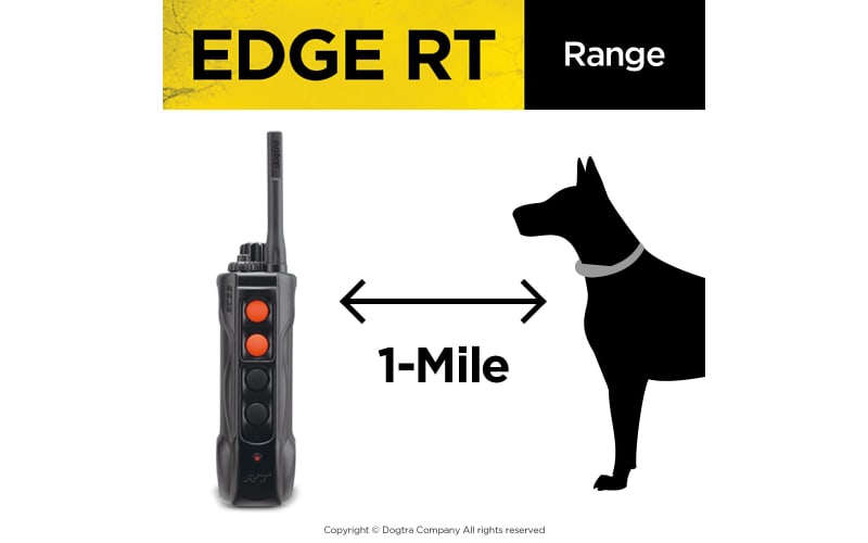 Cabelas dogtra best sale