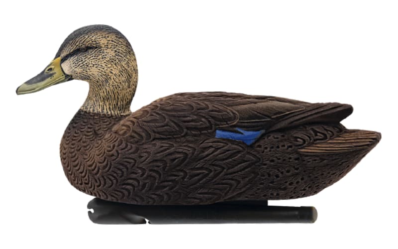 Avian-X® Black Duck Decoys - Six-Pack | Bass Pro Shops Canada