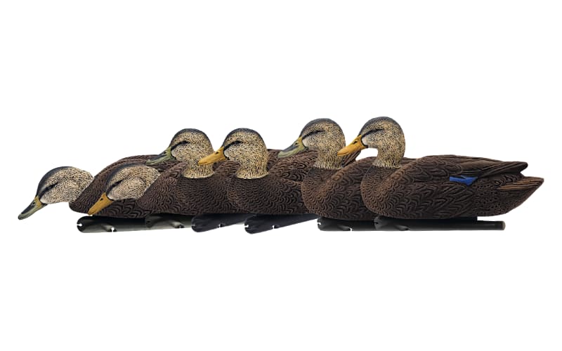 Avian-X® Black Duck Decoys - Six-Pack | Bass Pro Shops Canada