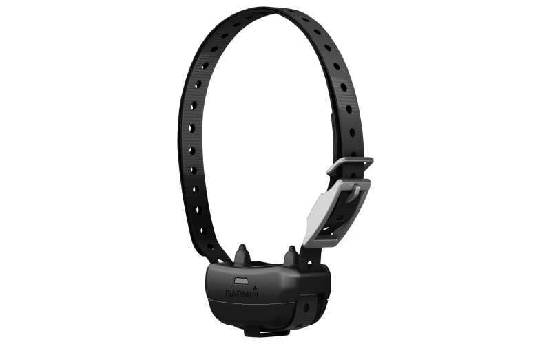Garmin dog discount training