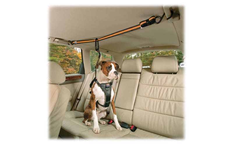 Kurgo Auto Zip Line for Dogs Cabela s