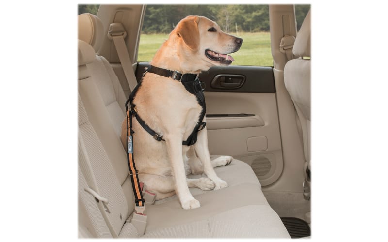 Dog harness seat belt tether on sale