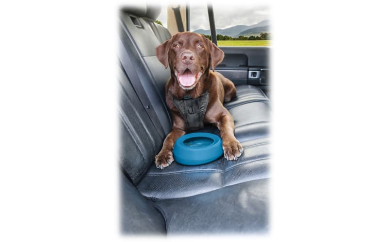 Kurgo splash free wander water bowl sale