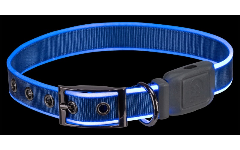 Cabelas dog collar discount