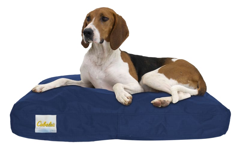 Cabelas dog bed hot sale