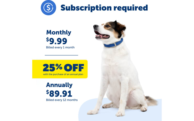 Guardian pet fence collar clearance
