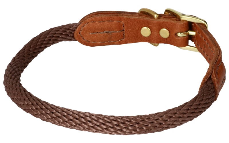 Cabelas dog collar cheap