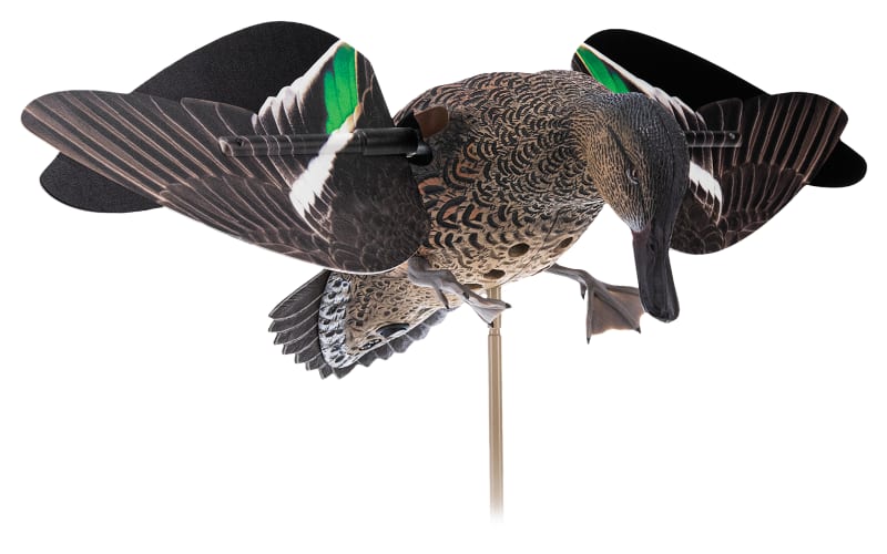 Avian-X PowerFlight Teal Hen Decoy w/ 2 Wing Sets | Mack's PW