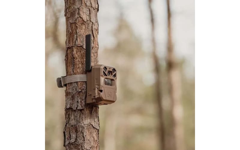 Moultrie EDGE 2 Cellular Trail Camera | Bass Pro Shops Canada