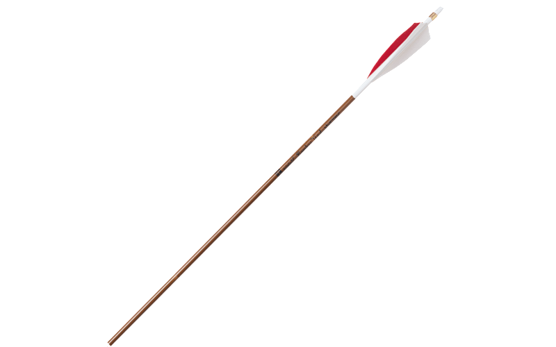 Victory Archery Bamboo Trad Gamer Arrows | Bass Pro Shops