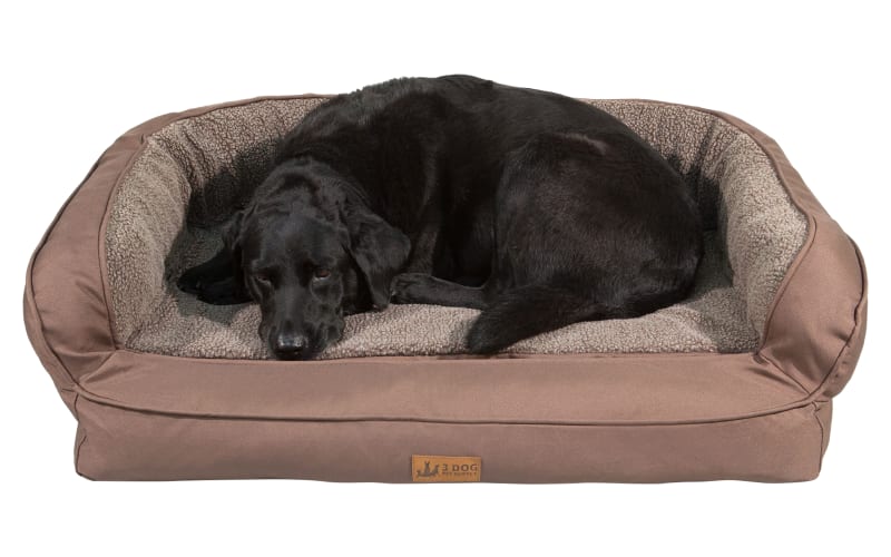 Can you wash new arrivals foam dog bed