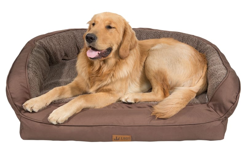 Can you wash memory foam dog bed sale