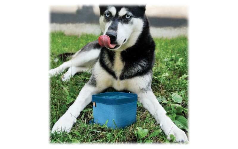 Kurgo Zippy Bowl Dog Bowl Bass Pro Shops