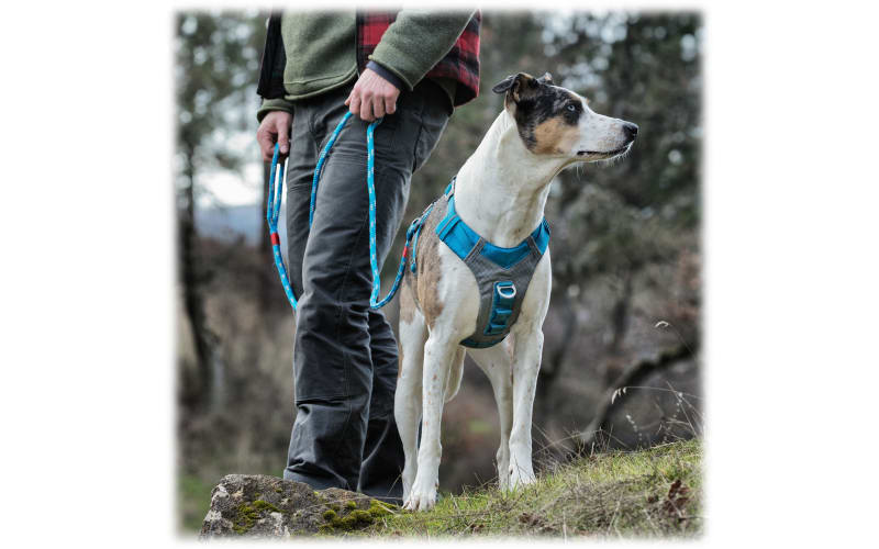 Kurgo Journey Air Dog Harness Cabela s