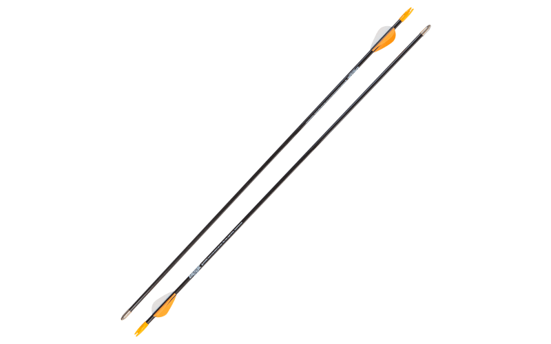 Get Your Child Started with Bear Apprentice Bow – Bear Archery