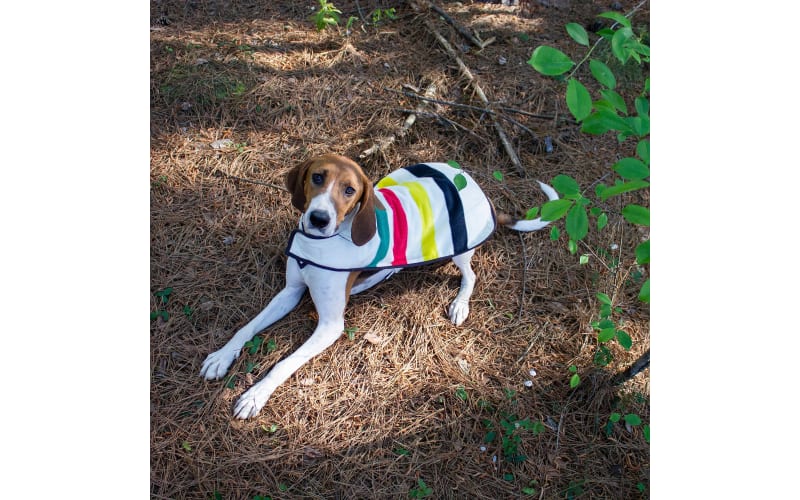 Pendleton Pet Glacier National Park Dog Coat