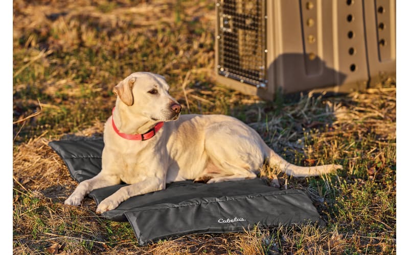 Cabela s Roll Up Dog Bed Bass Pro Shops