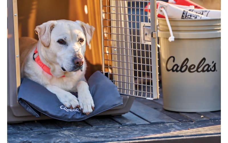 Cabela s Roll Up Dog Bed Bass Pro Shops