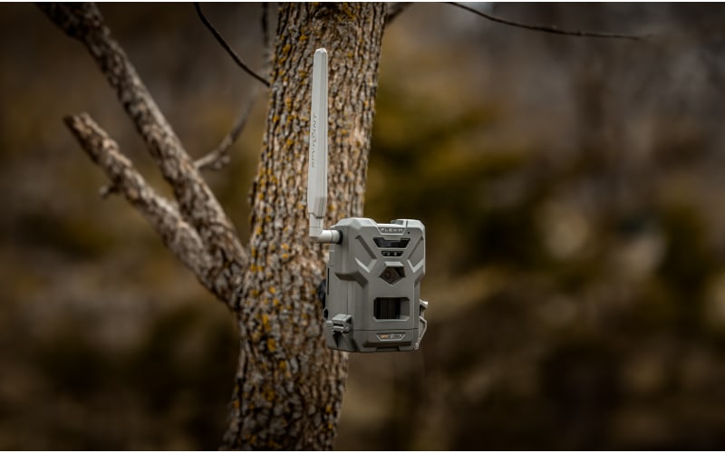 SpyPoint Flex-M Cellular Trail Camera Bass Pro Shops