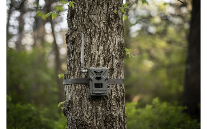 SpyPoint Flex-M Cellular Trail Camera Cabela's