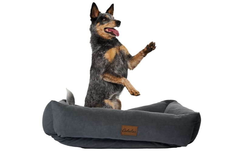 Cabela s Bolster Dog Bed Bass Pro Shops