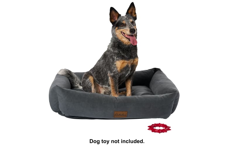 Cabela's Bolster Dog Bed Cabela's