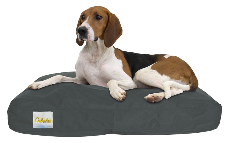Cabela s Tough Chew Pet Napper Dog Bed Bass Pro Shops