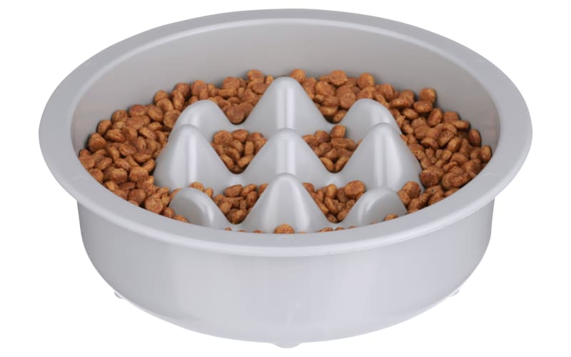 Neater Pets The Niner Slow Feed Pet Bowl | Bass Pro Shops