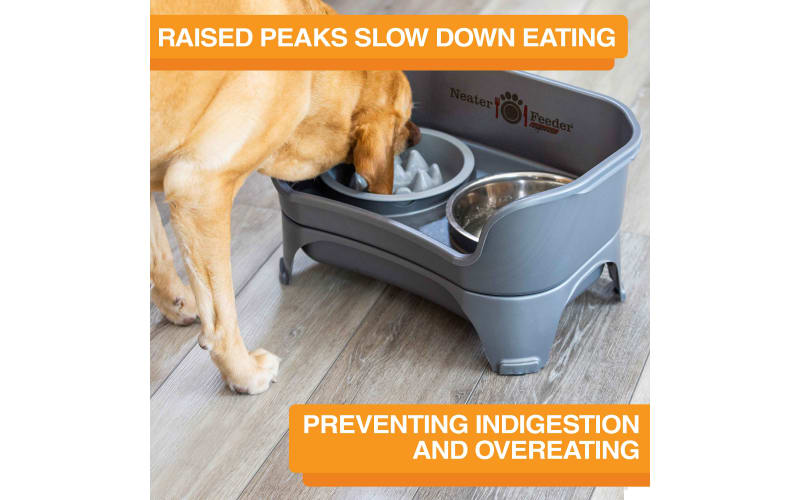 Neater Pets The Niner Slow Feed Pet Bowl | Bass Pro Shops