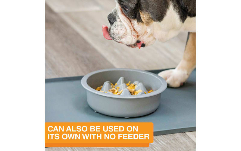 Neater Pets The Niner Slow Feed Pet Bowl | Bass Pro Shops