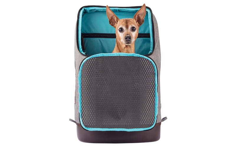 K9 rucksack hot sale