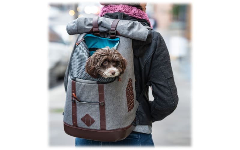 K9 rucksack online