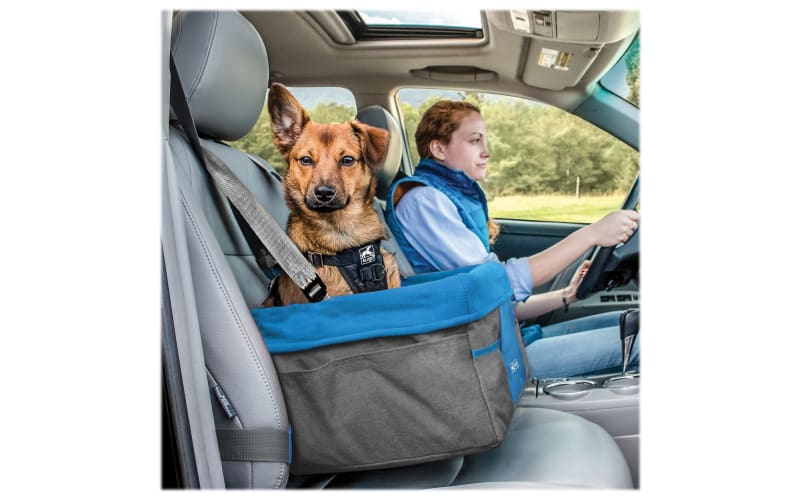 Kurgo rover booster seat online