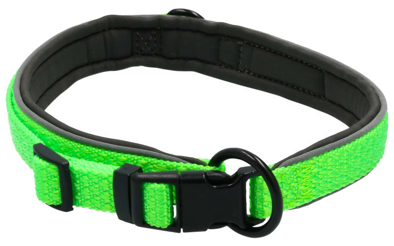 Bass pro dog collar discount