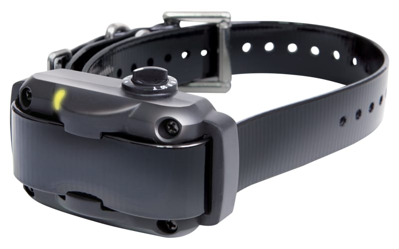 Dogtra YS600 No-Bark Large Dog E-Collar Dog Training System Cabela's